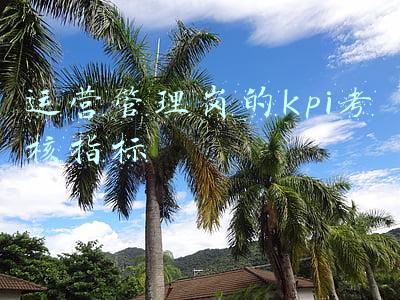 人事岗kpi(这才是KPI考核，不服不行(附全岗位KPI指标库及绩效实操工具大全))