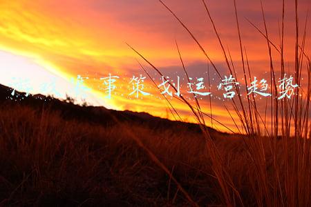 游戏赛事策划运营趋势