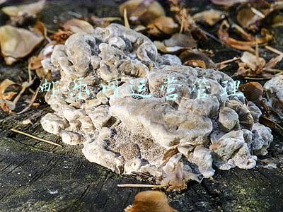 邮乐购运营中心登录网址(中国邮政建成邮乐购站点42万个)