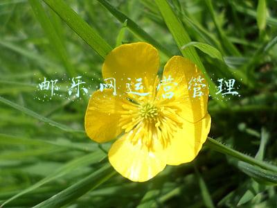 邮乐网运营管理