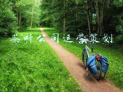 茶叶公司运营策划