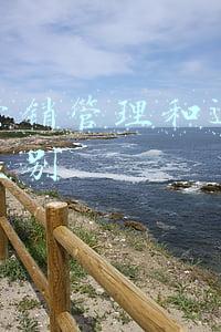 市场营销管理和运营管理的区别