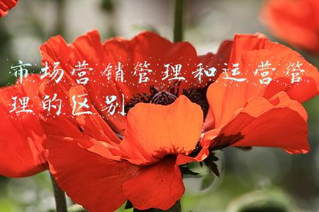 市场营销管理和运营管理的区别