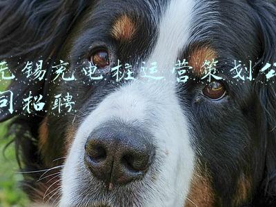 新能源充电桩公司招聘(吉利新能源储备干部，不限专业学历，年薪10W起)
