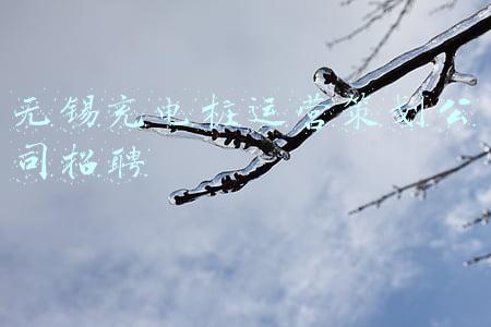 无锡充电桩运营策划公司招聘