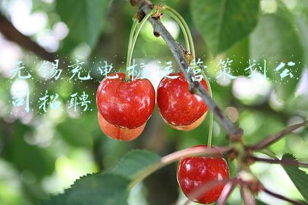 无锡特斯拉充电桩(锡东首个新能源汽车智能充电桩落户润发购物中心啦！)