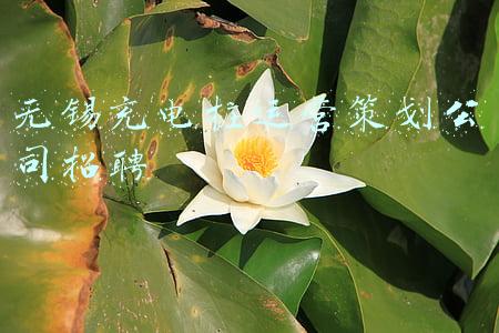 无锡电动汽车充电桩(我为群众办实事丨无锡钱桥：智能充电桩进社区见证微幸福)