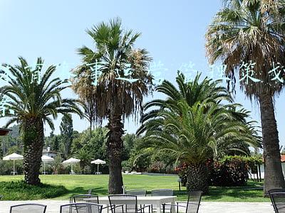 体育赛事运营管理的内容(探索我国体育院校高质量发展路径)