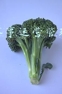 体育赛事运营与管理(SPORTFIVE 2021年度盘点：定义电竞营销新标准)