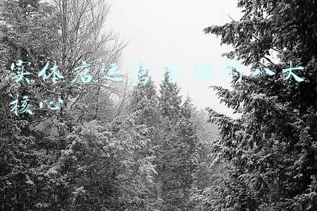 实体店铺运营包括哪些方面(实体店商业思维：生意做不下去的核心内容，你真了解透彻了吗？)