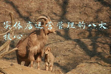 实体店代运营合同(自媒体代运营服务合同)