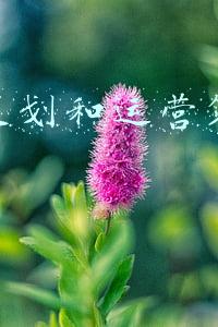 策划运营主要做什么(如何成为策划大牛：一张图看清活动的运营方向)