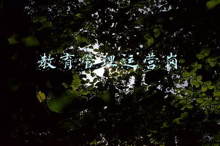教育管理云平台(在家也能学到名师优课！我省多地上线教育“云平台”)
