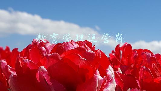 惜岗教育(普洱中院召开“惜岗位，转作风，争先进”专项行动动员部署会)