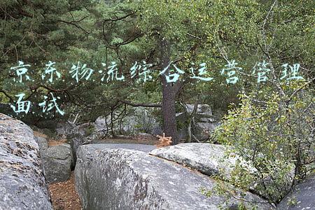 京东运营助理面试知识(原来京东面试问这些问题，京东后端开发工程师面经(含答案))