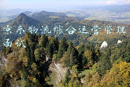 京东物流面试流程(30K 成功入职京东：拿到京东 offer 经验分享「面试经历 + 面试真题」)