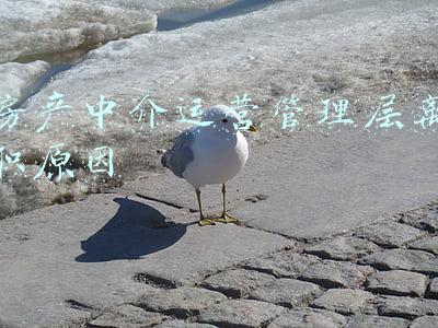 房地产中介归谁管理(潜规则被揭穿！奉贤城管执法局为你撩开房产中介交易内幕)