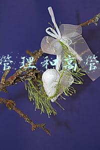 运营管理和高管助理