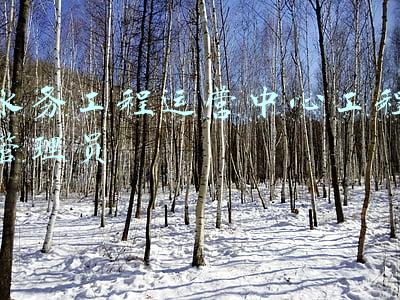 水务工程班组(贵州水务建设工程有限公司紫云项目部举行七十日大会战劳动竞赛活动)