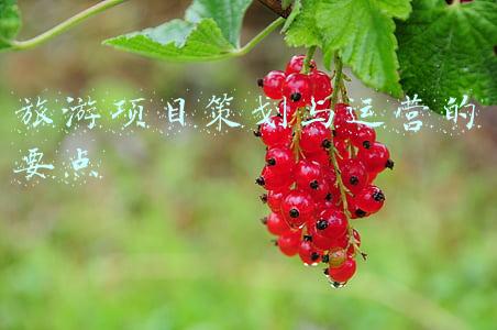 旅游项目策划与运营的要点