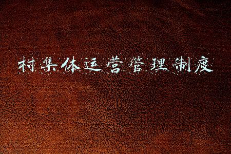 农村集体经济组织运行机制(财政部 农业农村部印发农村集体经济组织财务制度)