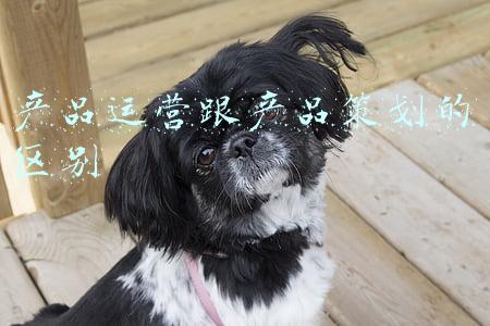 产品运营跟产品策划的区别