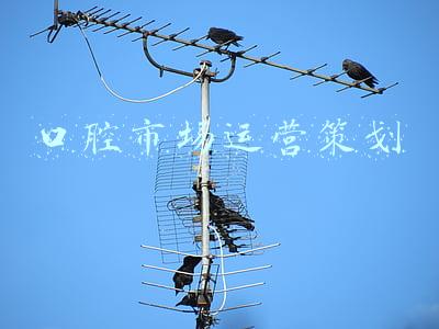 口腔市场运营策划