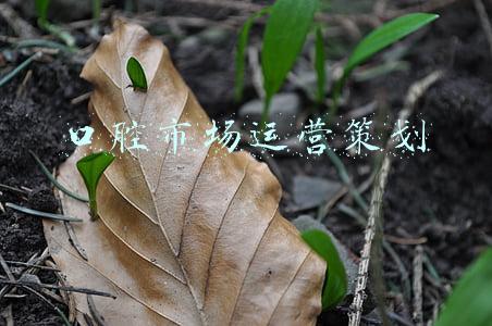 口腔市场运营策划