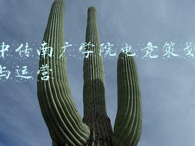 中传南广学院电竞策划与运营