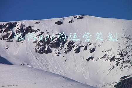 旅游app的用户调研(2021年中国在线旅游行业研究报告)