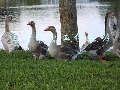 工作范畴是什么意思(我妈雇人一起干保洁，结果那人单干了)