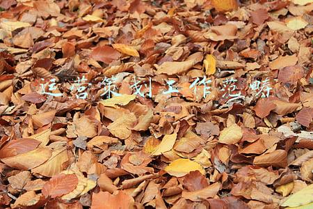 行政工作范畴(老秘书工作笔记：专业性和实用性都很强，宝藏工具书了)