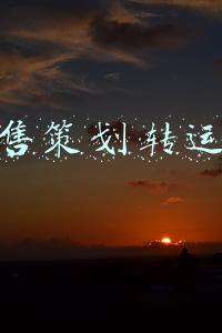 销售与运营规划(「公私一体化运营」，将成为数字化营销的新趋势)