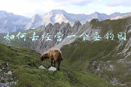 开垂钓园能赚钱吗（在农村开垂钓园可以吗）