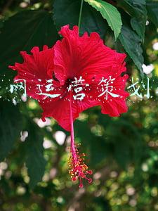 互联网运营工作内容(如何制定运营计划)