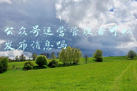 公众号的管理(B端产品如何做好需求管理？)