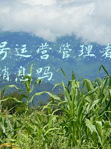 公众号发布的文章一定需要管理员通过(运营公众号有哪些误区？)