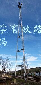 山东大学有铁路运营管理专业吗