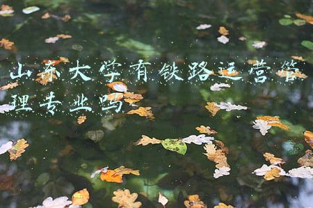 山东大学有铁路运营管理专业吗