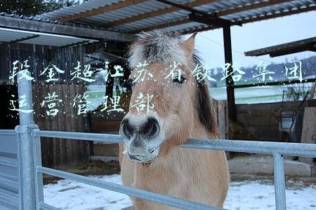 段金超江苏省铁路集团运营管理部
