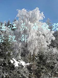 段金超江苏省铁路集团运营管理部