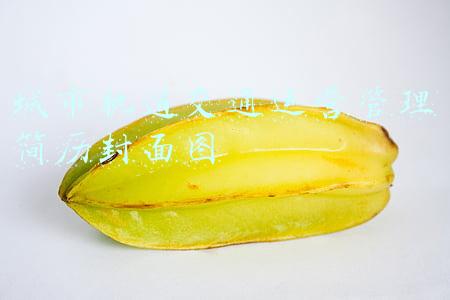 城市轨道交通运营管理职业规划书(国家发改委：“十四五”时期，高铁网将基本覆盖50万人口以上城市)