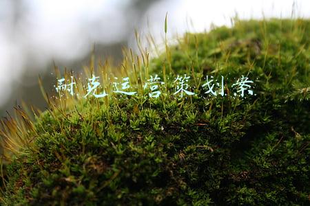 耐克运营策划案