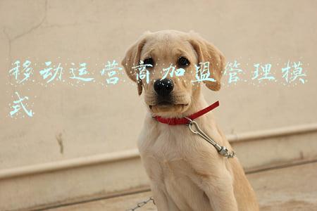 移动运营商代理(直接找运营商960元，代理商过一手2500元，办公楼宽带凭啥不能自己办？)