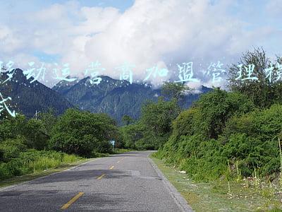 移动运营商官网(乘火车、飞机对核酸检测有什么要求？春运出行全流程指南请查收)