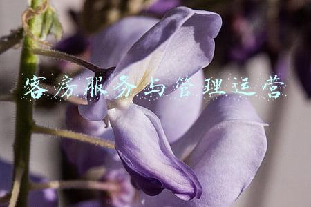 客房管理是做什么的(16条客房管理的硬知识，酒店人必知)