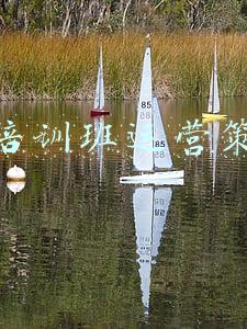 嘉兴舞蹈培训班(「新春走基层」让小新居民安心留“嘉”过年，海宁“快乐学堂”开班)