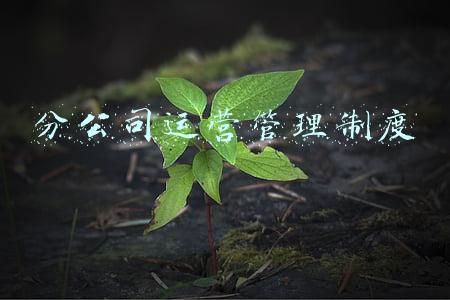 分公司运营管理制度