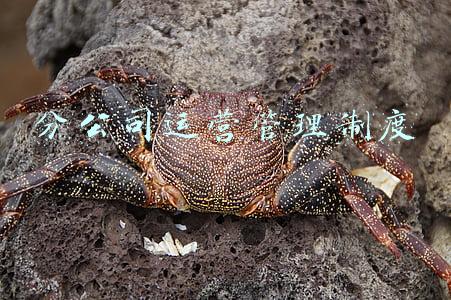 分公司财务管理制度(财务部管理制度（完整版）)