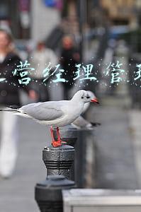 客服运营经理管理经验介绍